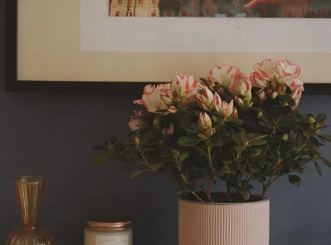 A Cosy Garden Flat In A Quiet Area Close To The Centre Бристоль