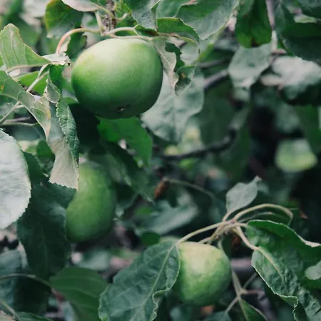 A Cosy Garden Flat In A Quiet Area Close To The Centre * Bristol