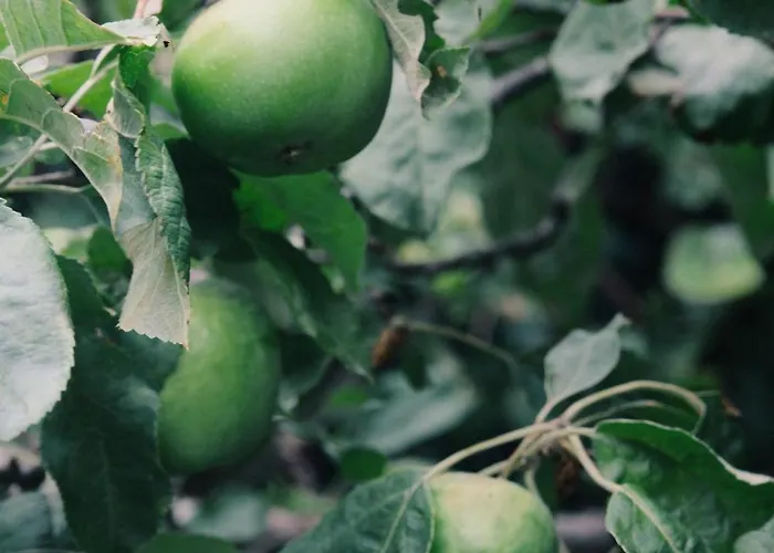 A Cosy Garden Flat In A Quiet Area Close To The Centre * بريستول
