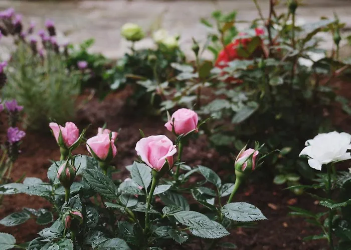 A Cosy Garden Flat In A Quiet Area Close To The Centre بريستول